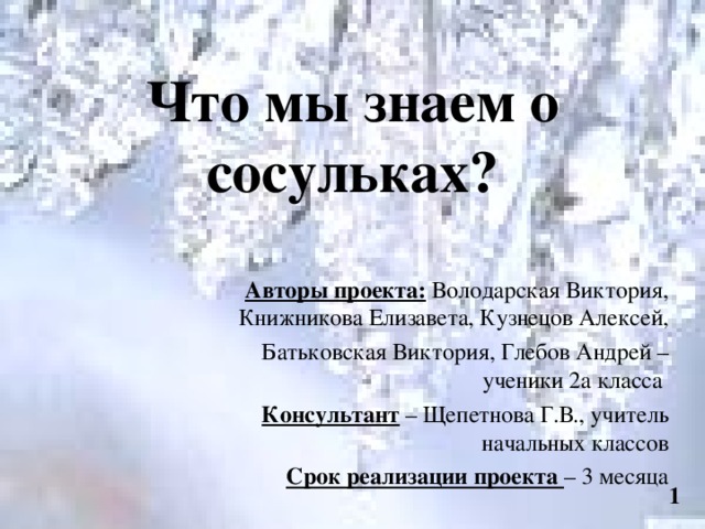 Что мы знаем о сосульках? Авторы проекта: Володарская Виктория, Книжникова Елизавета, Кузнецов Алексей, Батьковская Виктория, Глебов Андрей – ученики 2а класса Консультант – Щепетнова Г.В., учитель начальных классов Срок реализации проекта – 3 месяца 1