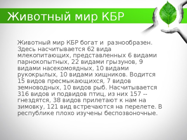 Животный мир КБР Животный мир КБР богат и разнообразен. Здесь насчитывается 62 вида млекопитающих, представленных 6 видами парнокопытных, 22 видами грызунов, 9 видами насекомоядных, 10 видами рукокрылых, 10 видами хищников. Водится 15 видов пресмыкающихся, 7 видов земноводных, 10 видов рыб. Насчитывается 316 видов и подвидов птиц, из них 157 -- гнездятся, 38 видов прилетают к нам на зимовку, 121 вид встречаются на перелете. В республике плохо изучены беспозвоночные.