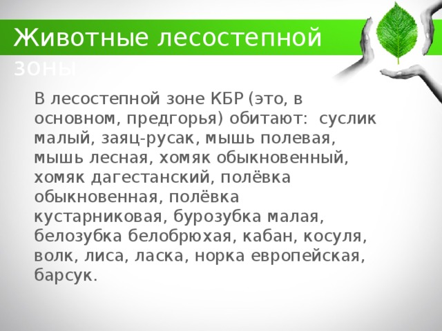 Животные лесостепной зоны В лесостепной зоне КБР (это, в основном, предгорья) обитают: суслик малый, заяц-русак, мышь полевая, мышь лесная, хомяк обыкновенный, хомяк дагестанский, полёвка обыкновенная, полёвка кустарниковая, бурозубка малая, белозубка белобрюхая, кабан, косуля, волк, лиса, ласка, норка европейская, барсук.