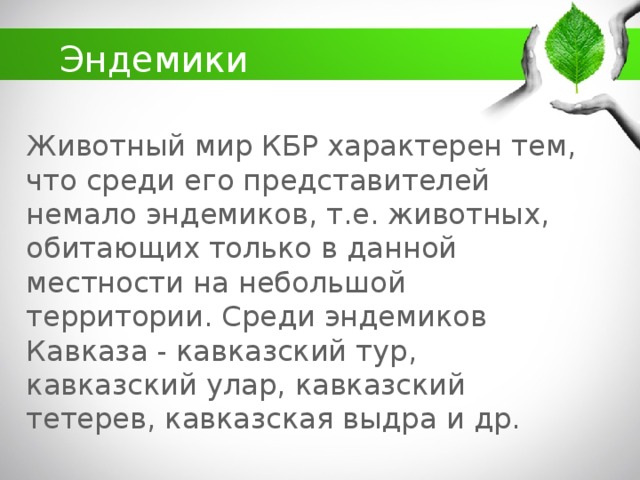 Эндемики Животный мир КБР характерен тем, что среди его представителей немало эндемиков, т.е. животных, обитающих только в данной местности на небольшой территории. Среди эндемиков Кавказа - кавказский тур , кавказский улар , кавказский тетерев , кавказская выдра  и др.