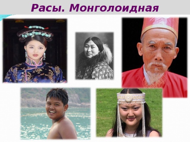 Расы. Монголоидная