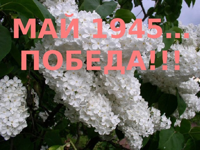 МАЙ 1945… ПОБЕДА!!!