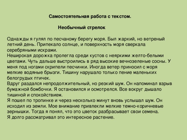 Самостоятельная работа с текстом.  Необычный стрелок Однажды я гулял по песчаному берегу моря. Был жаркий, но ветреный летний день. Припекало солнце, и поверхность моря сверкала серебряными искрами. Неширокая дорожка пролегла среди кустов с неяркими желто-белыми цветами. Чуть дальше выстроились в ряд высокие вечнозеленые сосны. У меня под ногами скрипели песчинки. Иногда ветер приносил с моря мелкие водяные брызги. Тишину нарушало только пение маленьких белогрудых птичек. Вдруг раздался непродолжительный, но резкий шум. Он напоминал взрыв бумажной бомбочки. Я остановился и осмотрелся. Все вокруг дышало тишиной и спокойствием. Я пошел по тропинке и через несколько минут вновь услышал шум. Он исходил из земли. Мое внимание привлекли мелкие темно-коричневые зернышки. Тогда я понял, что это цветок разбрасывает свои семена. Я долго рассматривал это интересное растение.