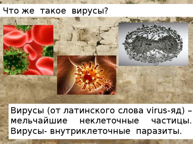 Текст viruses. Вирус это одним словом. Вопрос к слову вирус.