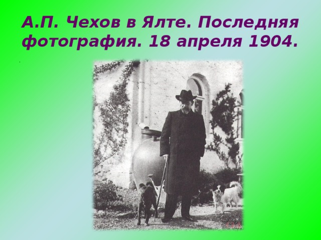 А.П. Чехов в Ялте. Последняя фотография. 18 апреля 1904.   .