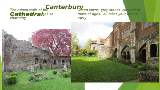 Canterbury Cathedral. The ruined walls of the Canterbury Abbey look so charming.. Green lawns, grey stones ,covered by moss of Ages…all takes your breath away…