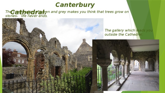 Canterbury Cathedral. The combination of green and grey makes you think that trees grow on stones- life never ends. The gallery which leads you outside the Cathedral.