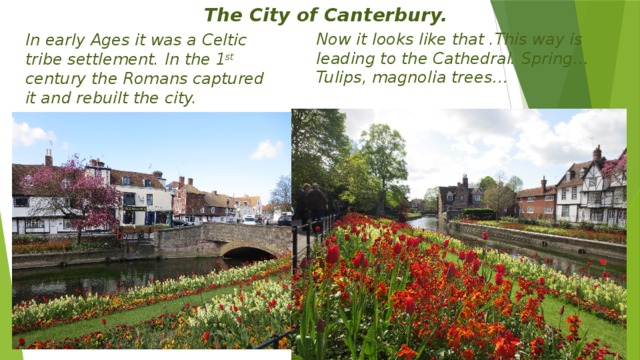 The City of Canterbury. In early Ages it was a Celtic tribe settlement. In the 1 st century the Romans captured it and rebuilt the city. Now it looks like that .This way is leading to the Cathedral. Spring…Tulips, magnolia trees…