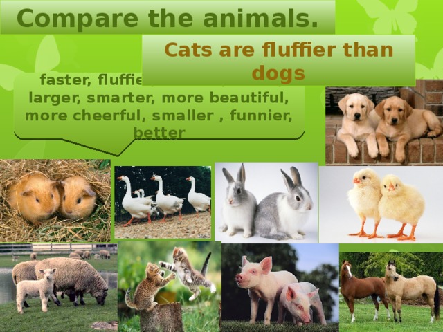 Compare the animals. Cats are fluffier than dogs  faster, fluffier, heavier, fatter, larger, smarter, more beautiful, more cheerful, smaller , funnier, better