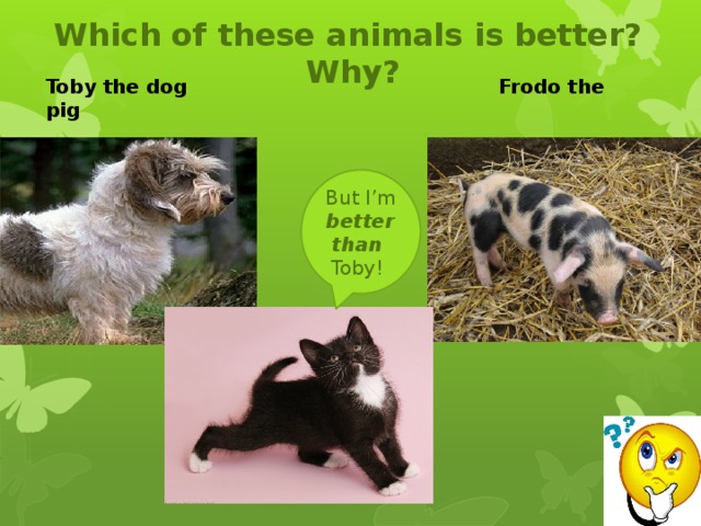 Which of these animals is better? Why?     Toby the dog Frodo the pig   But I’m better than Toby!