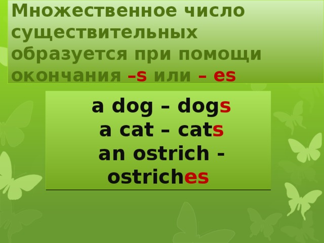 Множественное число существительных образуется при помощи окончания –s или – es  a dog – dog s  a cat – cat s  an ostrich - ostrich es