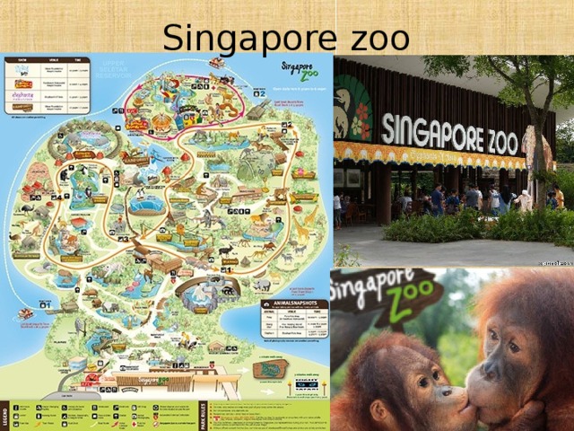 Singapore zoo