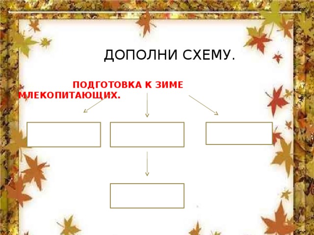 ДОПОЛНИ СХЕМУ.   ПОДГОТОВКА К ЗИМЕ МЛЕКОПИТАЮЩИХ.