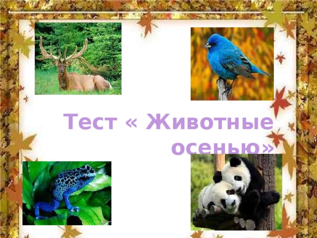 Тест « Животные осенью»