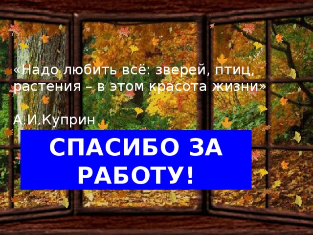 «Надо любить всё: зверей, птиц, растения – в этом красота жизни»  А.И.Куприн СПАСИБО ЗА РАБОТУ!