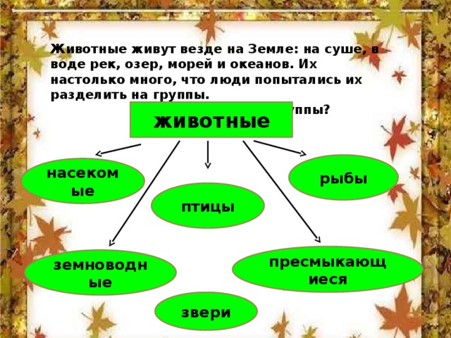 Животные живут везде на Земле: на суше, в воде рек, озер, морей и океанов. Их настолько много, что люди попытались их разделить на группы.  Какие это группы? животные рыбы насекомые птицы пресмыкающиеся земноводные звери