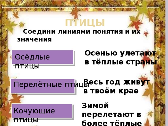 ПТИЦЫ  Соедини линиями понятия и их значения Осенью улетают в тёплые страны Осёдлые птицы Весь год живут в твоём крае Перелётные птицы Зимой перелетают в более тёплые районы Кочующие птицы