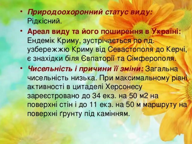 Природоохоронний статус виду: Рідкісний. Ареал виду та його поширення в Україні: Ендемік Криму, зустрічається по пд. узбережжю Криму від Севастополя до Керчі, є знахідки біля Євпаторії та Сімферополя. Чисельність і причини її зміни: Загальна чисельність низька. При максимальному рівні активності в цитаделі Херсонесу зареєстровано до 34 екз. на 50 м2 на поверхні стін і до 11 екз. на 50 м маршруту на поверхні ґрунту під камінням.