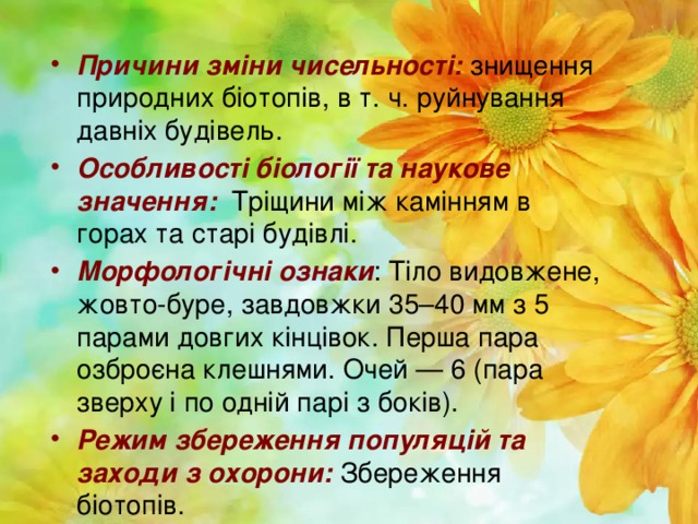 Причини зміни чисельності: знищення природних біотопів, в т. ч. руйнування давніх будівель. Особливості біології та наукове значення: Тріщини між камінням в горах та старі будівлі. Морфологічні ознаки : Тіло видовжене, жовто-буре, завдовжки 35–40 мм з 5 парами довгих кінцівок. Перша пара озброєна клешнями. Очей — 6 (пара зверху і по одній парі з боків). Режим збереження популяцій та заходи з охорони: Збереження біотопів.