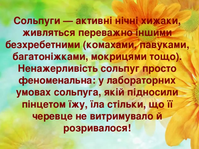 Сольпуги — активні нічні хижаки, живляться переважно іншими безхребетними (комахами, павуками, багатоніжками, мокрицями тощо). Ненажерливість сольпуг просто феноменальна: у лабораторних умовах сольпуга, якій підносили пінцетом їжу, їла стільки, що її черевце не витримувало й розривалося!