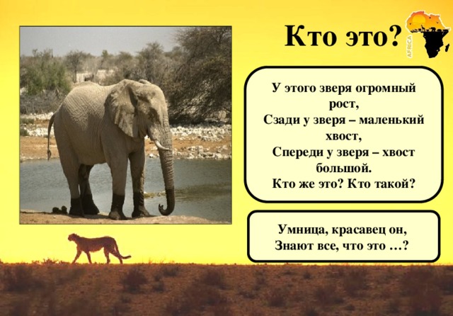 Кто это? У этого зверя огромный рост, Сзади у зверя – маленький хвост, Спереди у зверя – хвост большой. Кто же это? Кто такой? Умница, красавец он, Знают все, что это …?