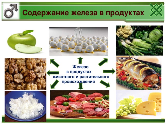 Содержание железа в продуктах  Железо  в продуктах  животного  и растительного  происхождения