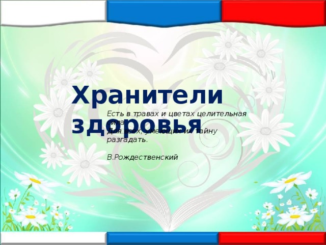 Хранители здоровья Есть в травах и цветах целительная сила  Для всех, умеющих их тайну разгадать.   В.Рождественский