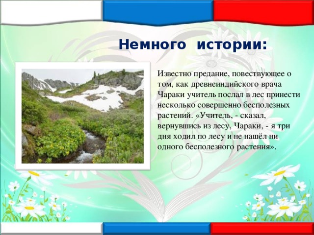 Немного истории : Известно предание, повествующее о том, как древнеиндийского врача Чараки учитель послал в лес принести несколько совершенно бесполезных растений. «Учитель, - сказал, вернувшись из лесу, Чараки, - я три дня ходил по лесу и не нашёл ни одного бесполезного растения».