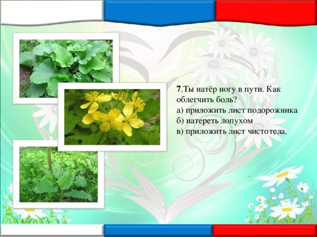 7 .Ты натёр ногу в пути. Как облегчить боль?  а) приложить лист подорожника   б) натереть лопухом  в) приложить лист чистотела.