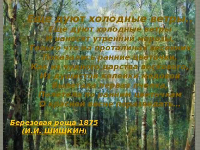 Еще дуют холодные ветры.. Еще дуют холодные ветры  И наносят утренний морозы,  Только что на проталинах весенних  Показались ранние цветочки,  Как из чудного царства воскового,  Из душистой келейки медовой  Вылетала первая пчелка,  Полетела по ранним цветочкам  О красной весне поразведать… Березовая роща 1875 (И.И. ШИШКИН )