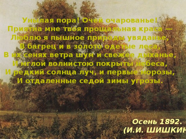 Унылая пора! Очей очарованье!  Приятна мне твоя прощальная краса —  Люблю я пышное природы увяданье,  В багрец и в золото одетые леса,  В их сенях ветра шум и свежее дыханье,  И мглой волнистою покрыты небеса,  И редкий солнца луч, и первые морозы,  И отдаленные седой зимы угрозы.  Осень 1892. (И.И. ШИШКИН)