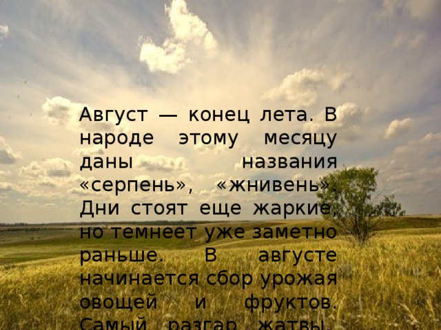 Август — конец лета. В народе этому месяцу даны названия «серпень», «жнивень». Дни стоят еще жаркие, но темнеет уже заметно раньше. В августе начинается сбор урожая овощей и фруктов. Самый разгар жатвы. 