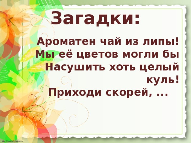 Загадки:  Ароматен чай из липы!  Мы её цветов могли бы  Насушить хоть целый куль!  Приходи скорей, ... 