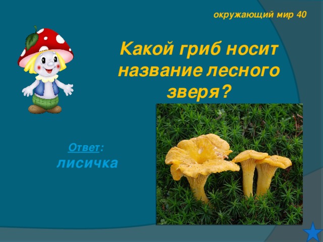 окружающий мир 40 Какой гриб носит название лесного зверя? Ответ : лисичка