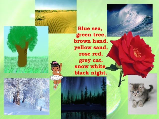 Blue sea,  green tree,  brown hand,  yellow sand,  rose red,  grey cat,  snow white,  black night.