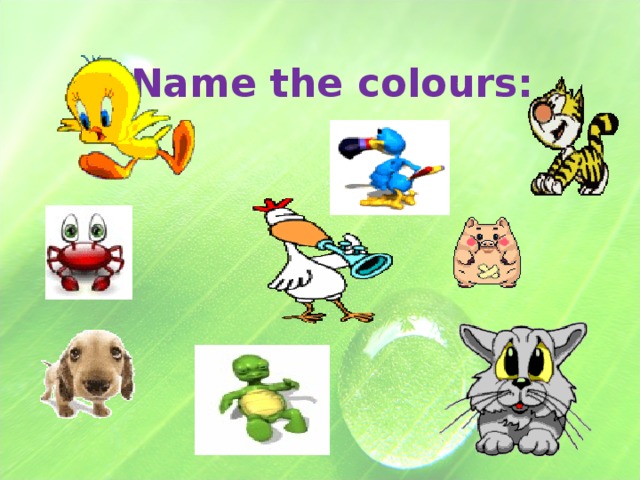 Name the colours: