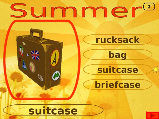2 rucksack bag suitcase briefcase suitcase