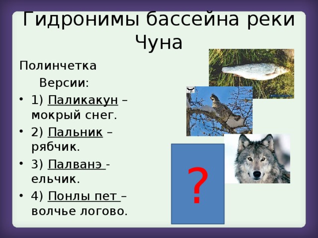 Придумай и запиши словосочетания по образцу волчий. Гидронимы презентация. Гидронимы.