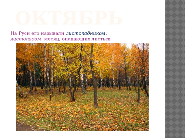октябрь На Руси его называли  листопадником , листопадом - месяц, опадающих листьев