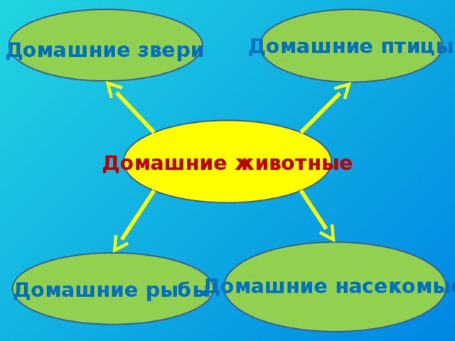 Домашние птицы Домашние звери Домашние животные Домашние насекомые Домашние рыбы