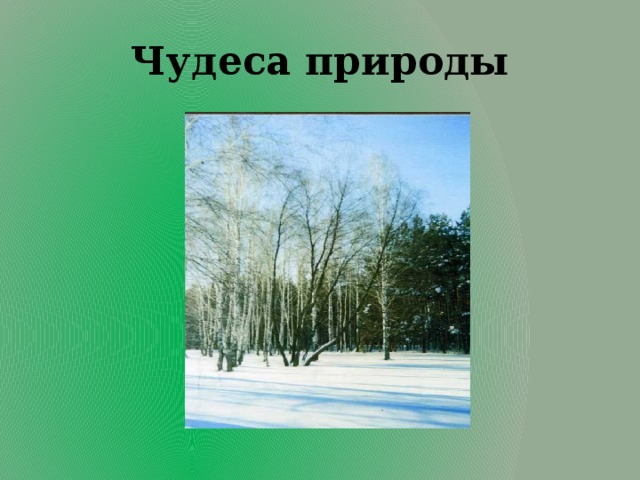 Чудеса природы