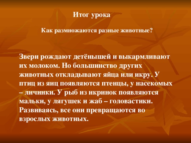 Итог урока Как размножаются разные животные? Звери рождают детёнышей и выкармливают их молоком. Но большинство других животных откладывают яйца или икру. У птиц из яиц появляются птенцы, у насекомых – личинки. У рыб из икринок появляются мальки, у лягушек и жаб – головастики. Развиваясь, все они превращаются во взрослых животных.