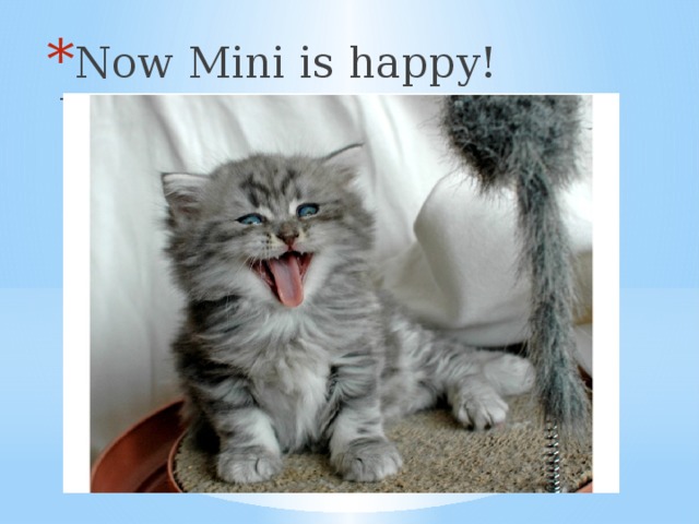 Now Mini is happy! Why?