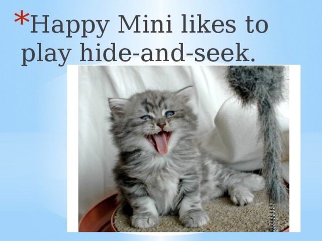 Happy Mini likes to play hide-and-seek.