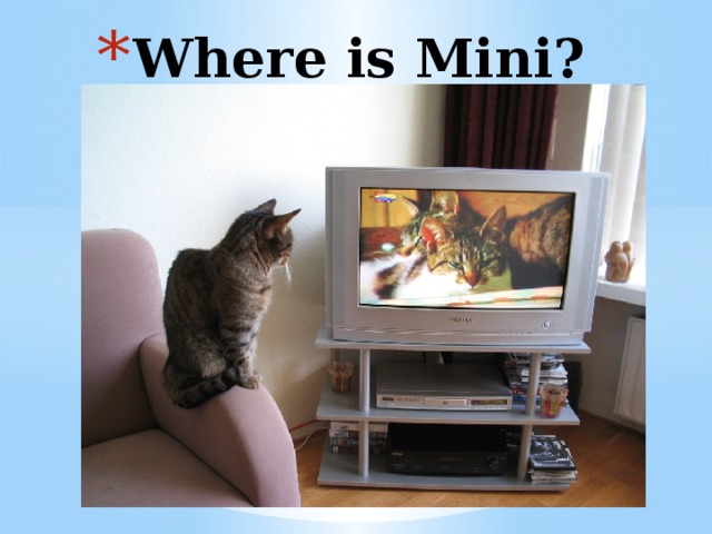 Where is Mini?