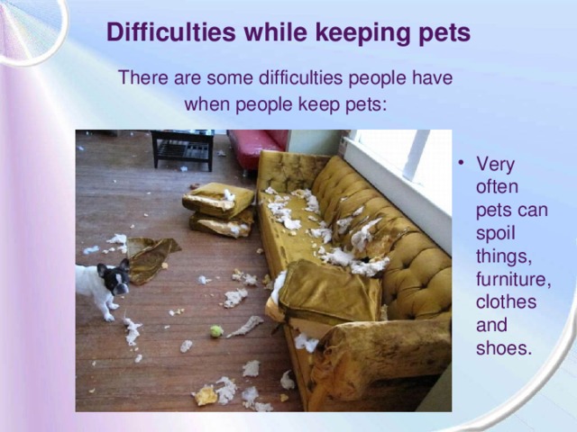 Difficulties while keeping pets There are some difficulties people have when people keep pets: