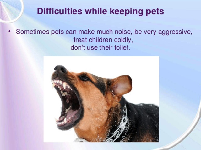 Difficulties while keeping pets Sometimes pets can make much noise, be very aggressive, treat children coldly, don’t use their toilet.