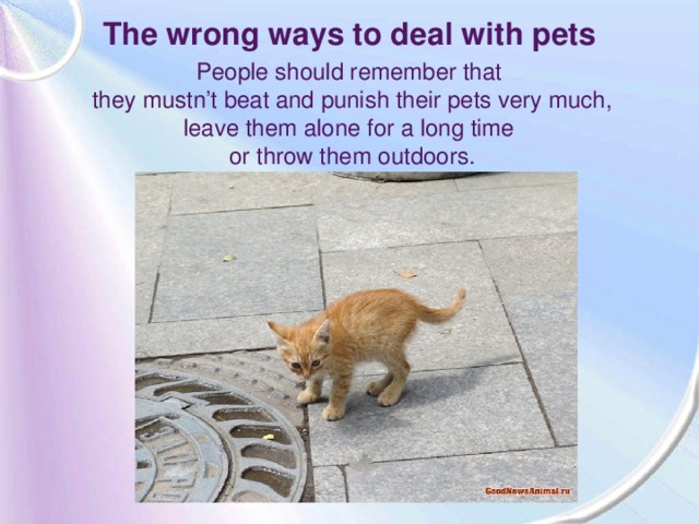 The wrong ways to deal with pets People should remember that they mustn’t beat and punish their pets very much, leave them alone for a long time or throw them outdoors.