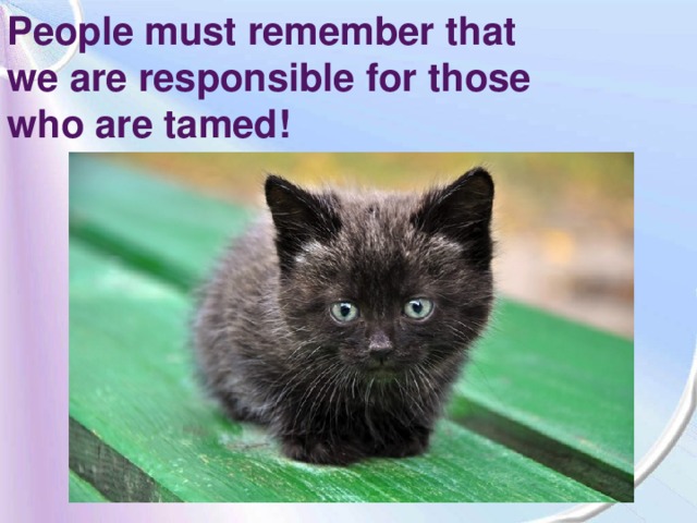 People must remember that  we are responsible for those  who are tamed!
