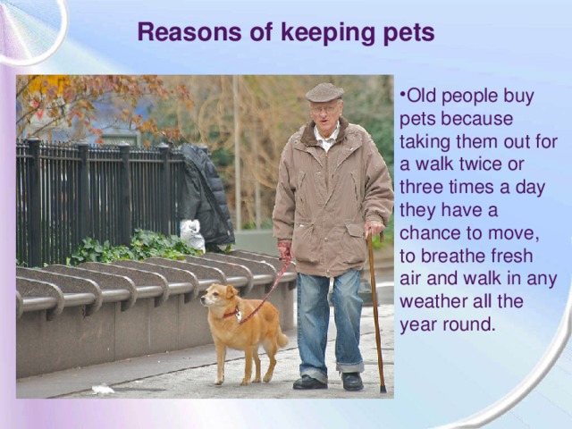 Keeping pets listen. Презентации на тему Pets. Тема keeping Pets. Проекты на тему my Pet. Презентация на тему Pets в Англии.
